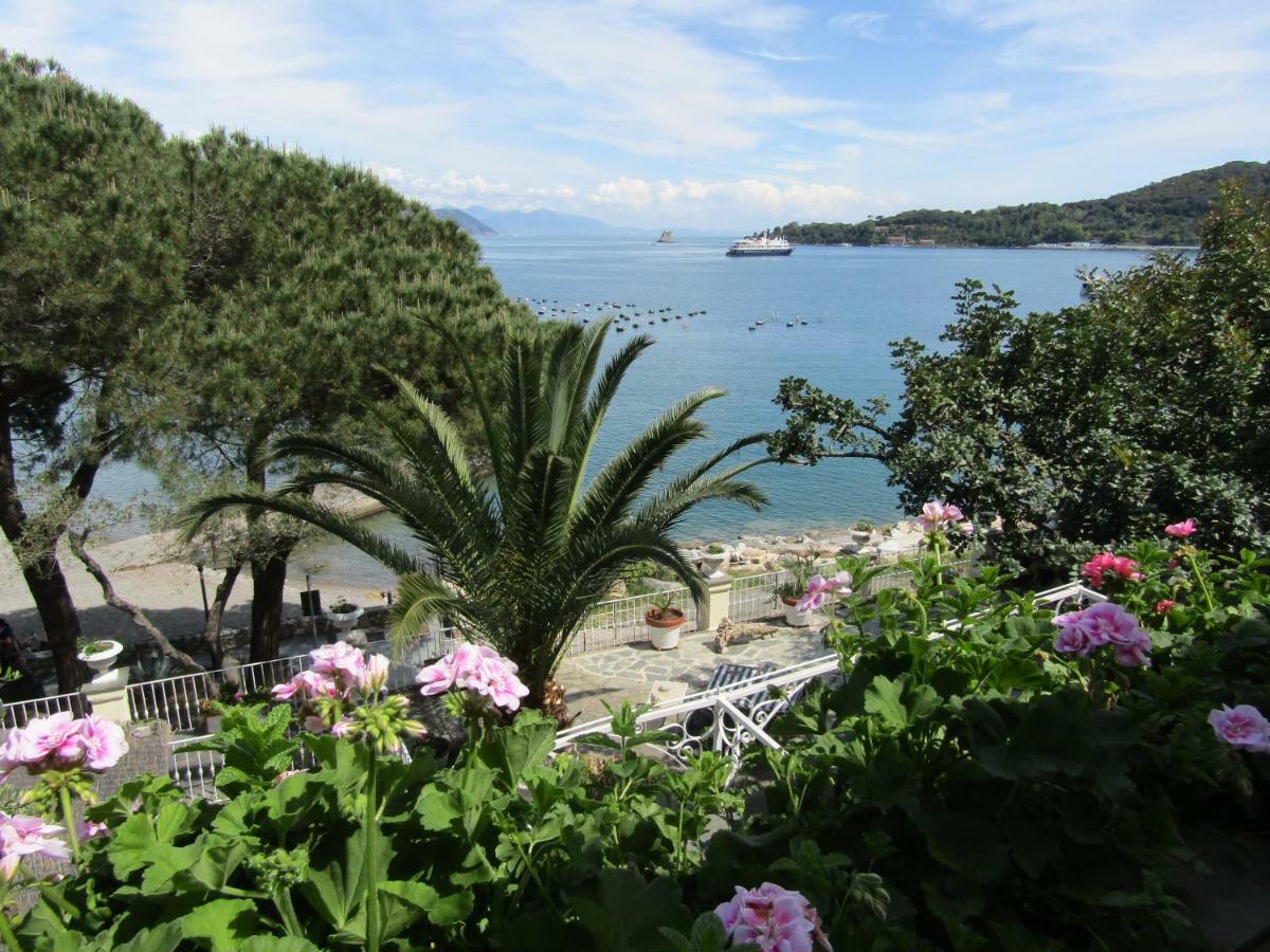 Holiday Fiorita *